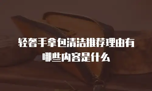 轻奢手拿包清洁推荐理由有哪些内容是什么