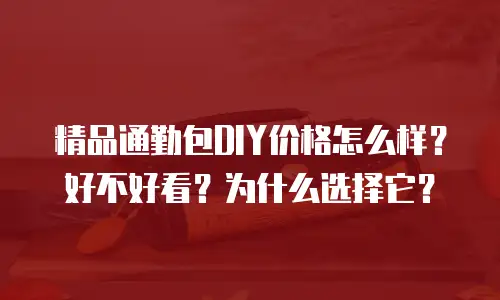 精品通勤包DIY价格怎么样？好不好看？为什么选择它？