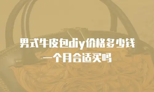 男式牛皮包diy价格多少钱一个月合适买吗