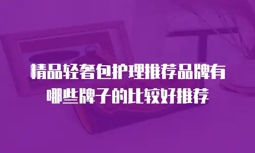 精品轻奢包护理推荐品牌有哪些牌子的比较好推荐