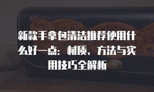 新款手拿包清洁推荐使用什么好一点：材质、方法与实用技巧全解析