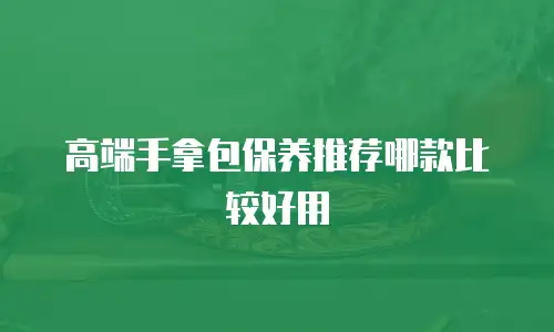 高端手拿包保养推荐哪款比较好用