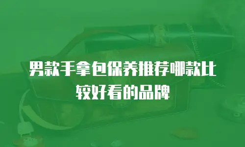 男款手拿包保养推荐哪款比较好看的品牌