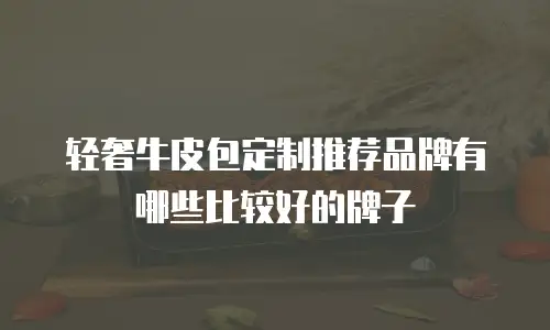轻奢牛皮包定制推荐品牌有哪些比较好的牌子