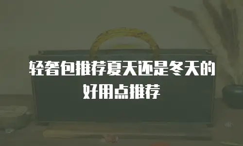 轻奢包推荐夏天还是冬天的好用点推荐