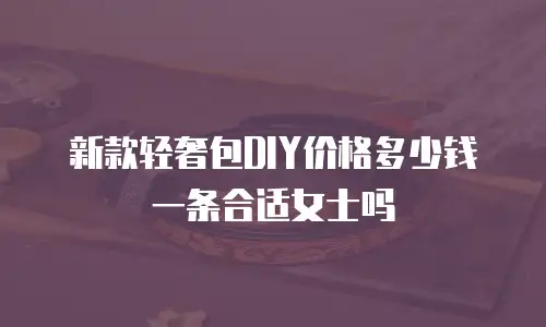 新款轻奢包DIY价格多少钱一条合适女士吗