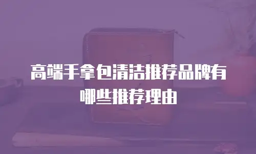 高端手拿包清洁推荐品牌有哪些推荐理由