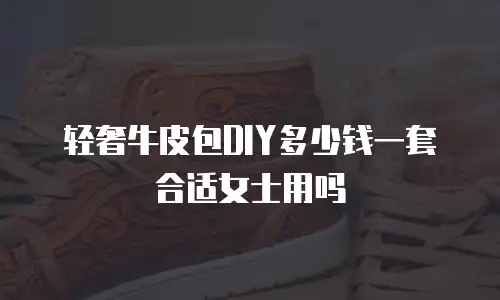 轻奢牛皮包DIY多少钱一套合适女士用吗