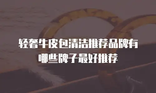 轻奢牛皮包清洁推荐品牌有哪些牌子最好推荐