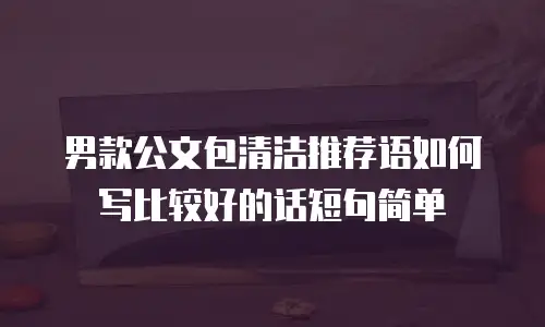 男款公文包清洁推荐语如何写比较好的话短句简单