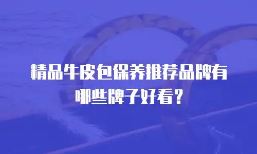 精品牛皮包保养推荐品牌有哪些牌子好看？