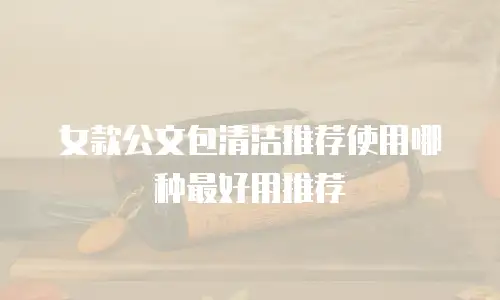 女款公文包清洁推荐使用哪种最好用推荐