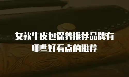 女款牛皮包保养推荐品牌有哪些好看点的推荐