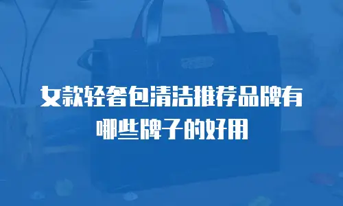 女款轻奢包清洁推荐品牌有哪些牌子的好用