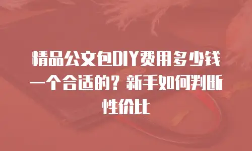 精品公文包DIY费用多少钱一个合适的？新手如何判断性价比