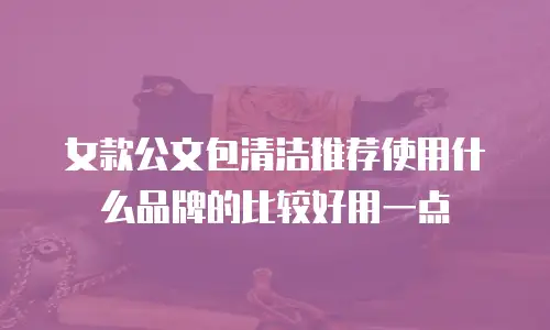 女款公文包清洁推荐使用什么品牌的比较好用一点