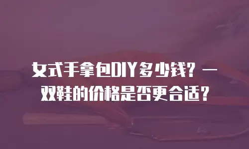 女式手拿包DIY多少钱？一双鞋的价格是否更合适？