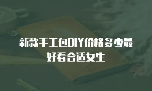 新款手工包DIY价格多少最好看合适女生