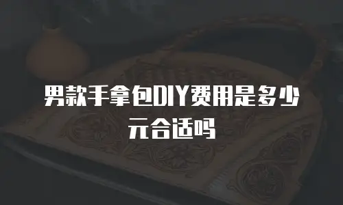 男款手拿包DIY费用是多少元合适吗