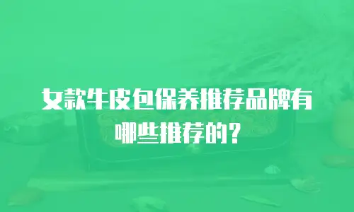 女款牛皮包保养推荐品牌有哪些推荐的？