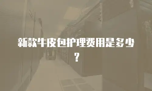 新款牛皮包护理费用是多少？