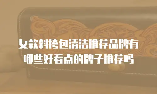 女款斜挎包清洁推荐品牌有哪些好看点的牌子推荐吗