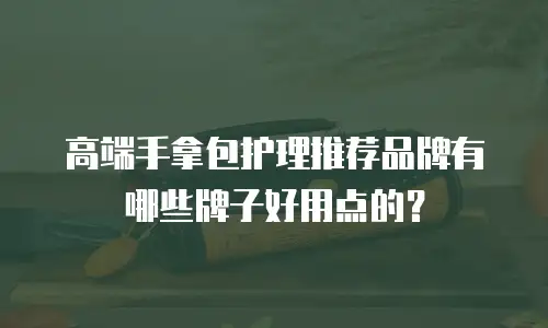 高端手拿包护理推荐品牌有哪些牌子好用点的？