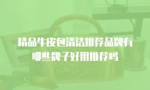 精品牛皮包清洁推荐品牌有哪些牌子好用推荐吗