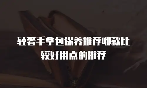 轻奢手拿包保养推荐哪款比较好用点的推荐