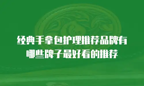 经典手拿包护理推荐品牌有哪些牌子最好看的推荐