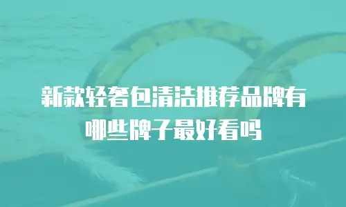 新款轻奢包清洁推荐品牌有哪些牌子最好看吗