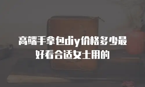 高端手拿包diy价格多少最好看合适女士用的