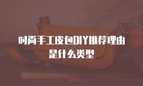 时尚手工皮包DIY推荐理由是什么类型