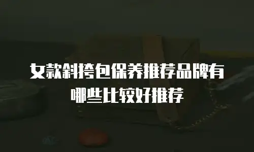 女款斜挎包保养推荐品牌有哪些比较好推荐