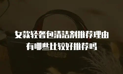女款轻奢包清洁剂推荐理由有哪些比较好推荐吗