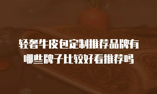 轻奢牛皮包定制推荐品牌有哪些牌子比较好看推荐吗