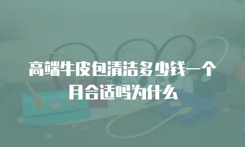 高端牛皮包清洁多少钱一个月合适吗为什么