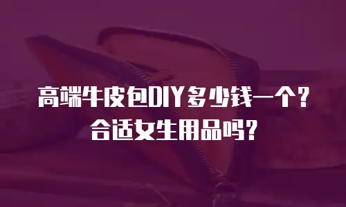 高端牛皮包DIY多少钱一个？合适女生用品吗？