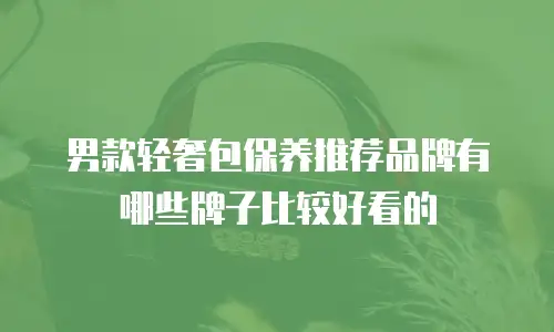 男款轻奢包保养推荐品牌有哪些牌子比较好看的