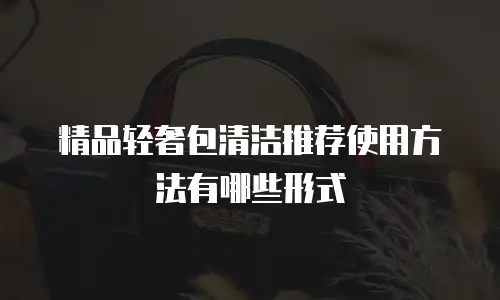 精品轻奢包清洁推荐使用方法有哪些形式