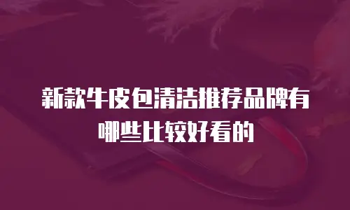 新款牛皮包清洁推荐品牌有哪些比较好看的