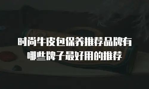 时尚牛皮包保养推荐品牌有哪些牌子最好用的推荐