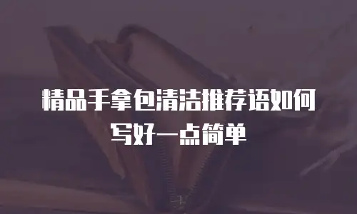 精品手拿包清洁推荐语如何写好一点简单