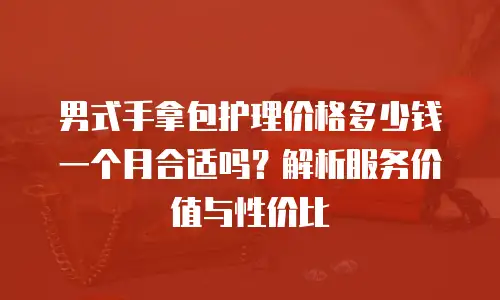 男式手拿包护理价格多少钱一个月合适吗？解析服务价值与性价比