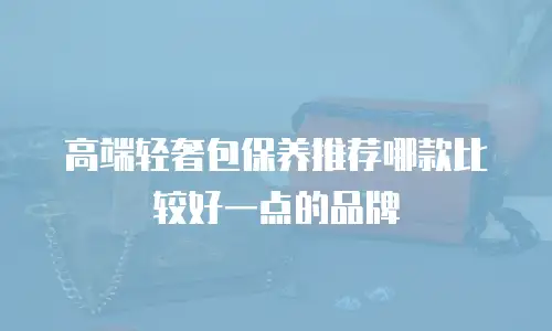 高端轻奢包保养推荐哪款比较好一点的品牌
