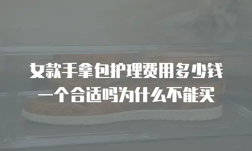 女款手拿包护理费用多少钱一个合适吗为什么不能买