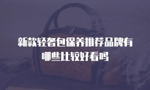新款轻奢包保养推荐品牌有哪些比较好看吗