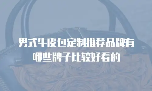 男式牛皮包定制推荐品牌有哪些牌子比较好看的