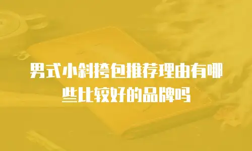 男式小斜挎包推荐理由有哪些比较好的品牌吗