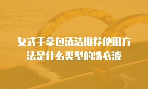 女式手拿包清洁推荐使用方法是什么类型的洗衣液